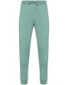 Heren Ecologische joggingbroek Native Spirit Jade Green